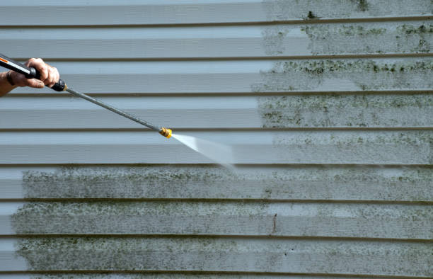Mold Removal Process in Corinth, MS
