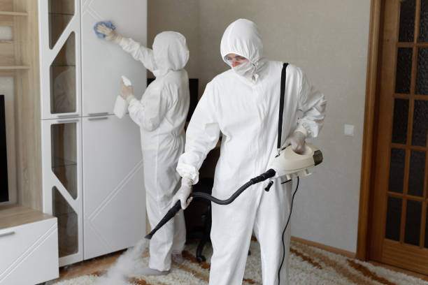 Best Attic Mold Removal  in Corinth, MS